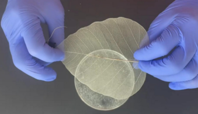 Paulos lab creates wireless, biodegradable heater from a leaf